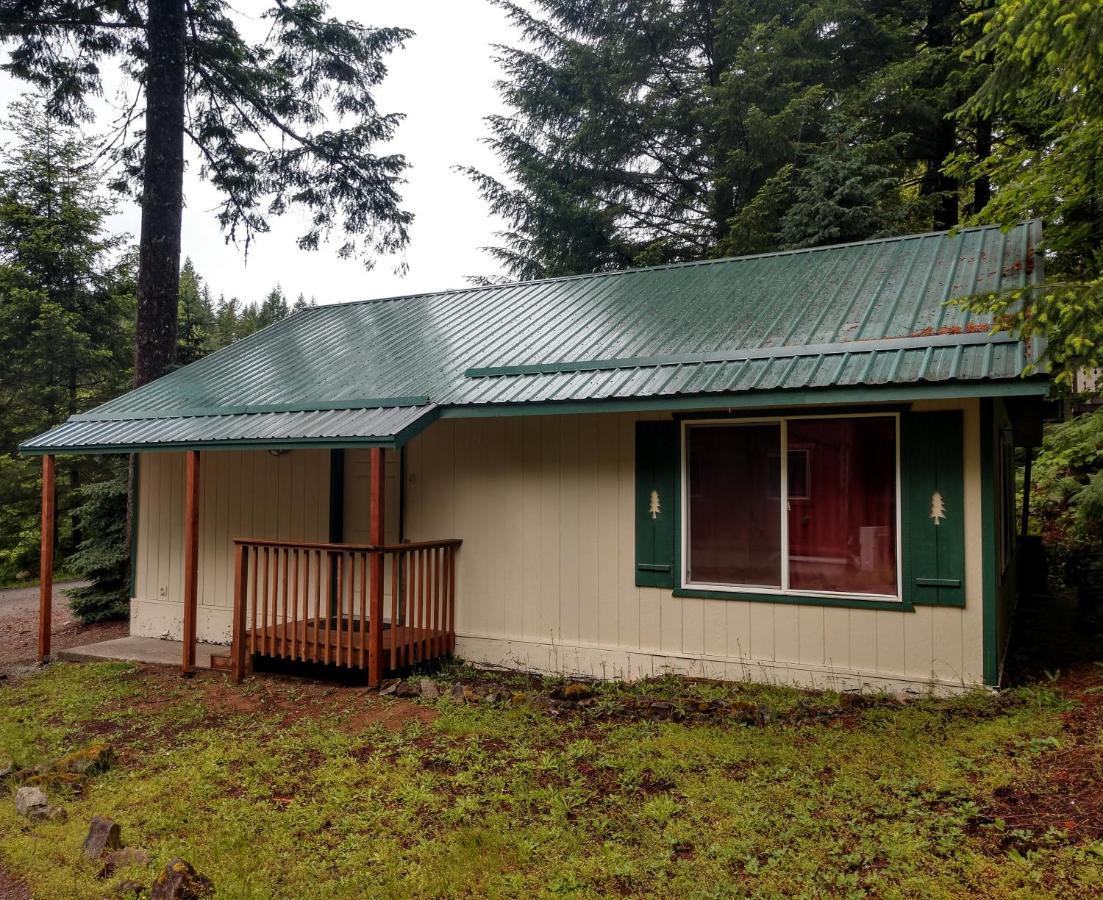 Hall Creek Cabin 帕克伍德 外观 照片